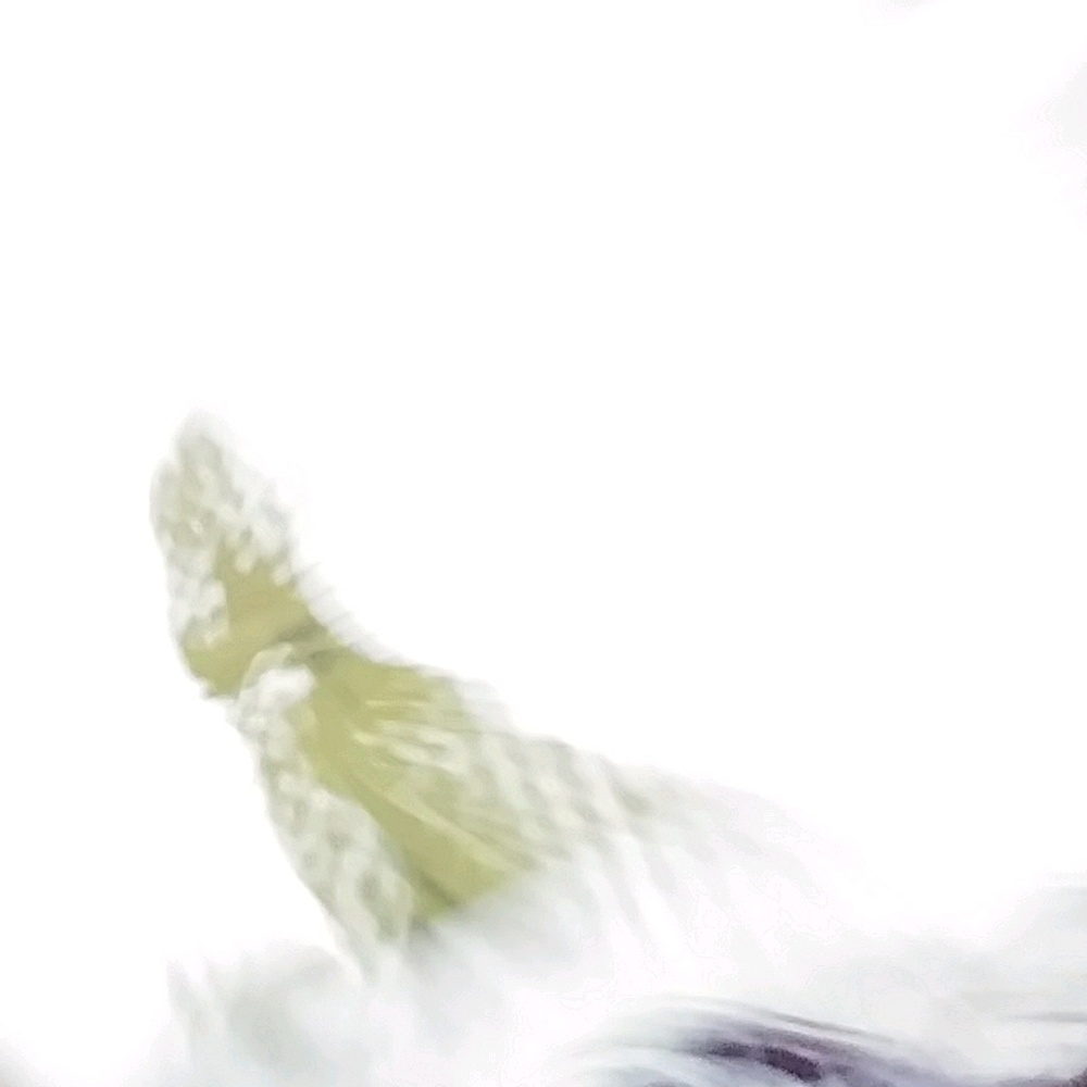 Meet your Posher, Al